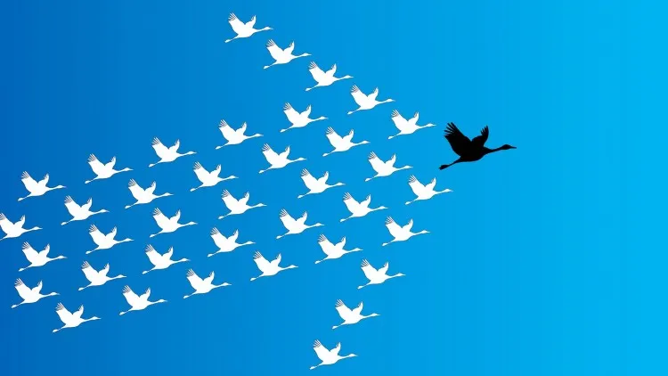 Liderlik Özellikleri FOTO: Liderlik Özellikleri